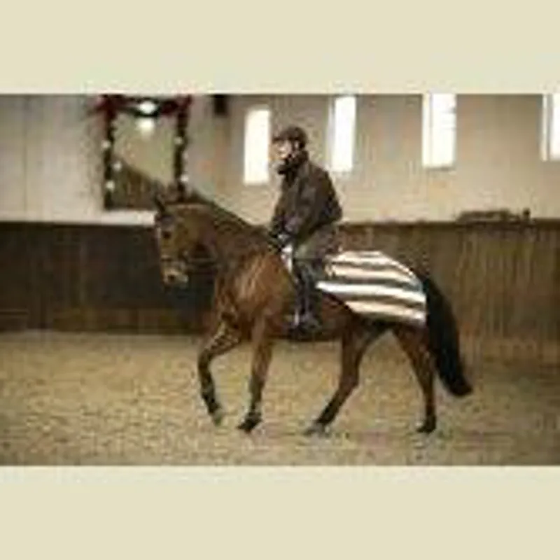 Horseware Newmarket Competition Sheet